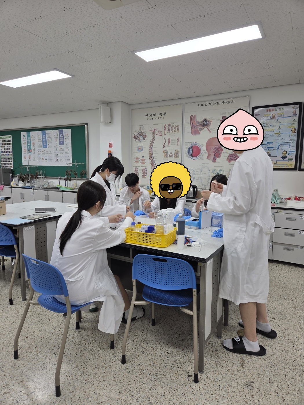 IMG_090341.jpeg